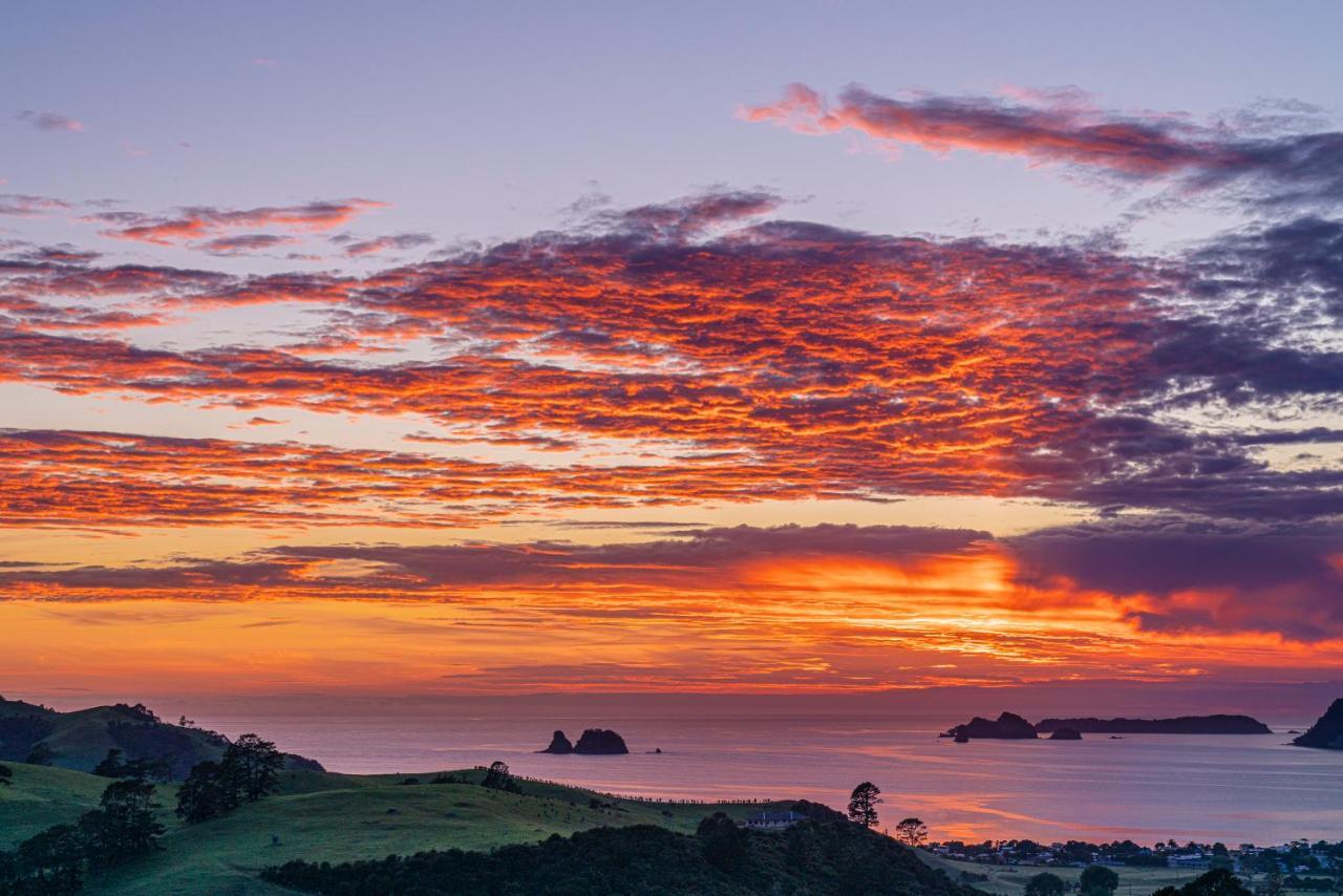 Bayview Valley Lodge Bed & Breakfast Whitianga Buitenkant foto